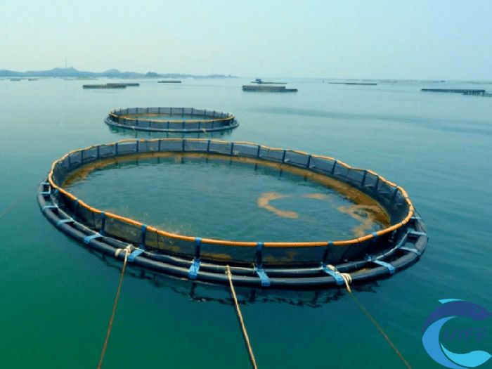 2024海南水產(chǎn)養(yǎng)殖博覽會(huì)對(duì)提升水產(chǎn)養(yǎng)殖業(yè)發(fā)展有何作用？