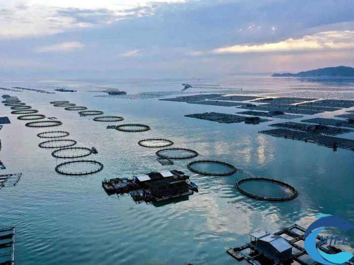 海南省在推動漁業(yè)產(chǎn)業(yè)轉型升級過程中的成功經(jīng)驗有哪些