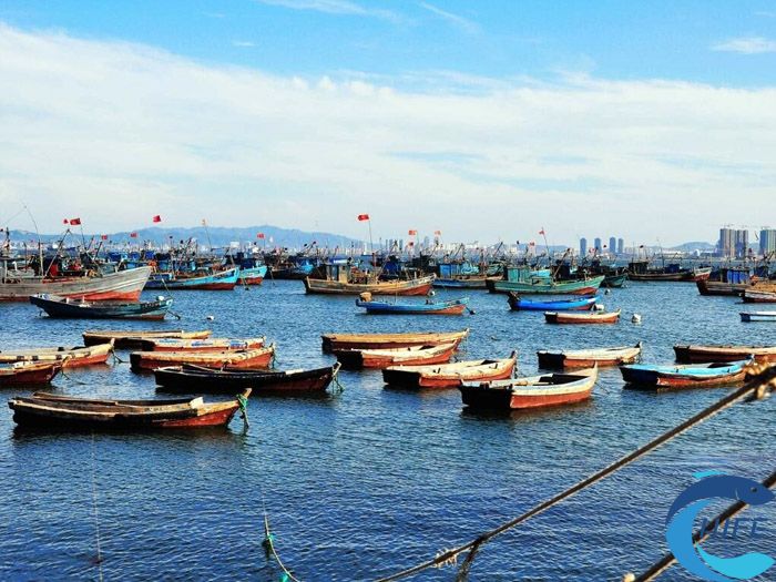 海南省休閑漁業(yè)項目如何促進農(nóng)村經(jīng)濟發(fā)展