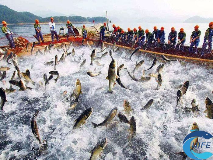 海南省水產(chǎn)養(yǎng)殖業(yè)現(xiàn)代化進(jìn)程中如何應(yīng)對(duì)市場(chǎng)競(jìng)爭(zhēng)